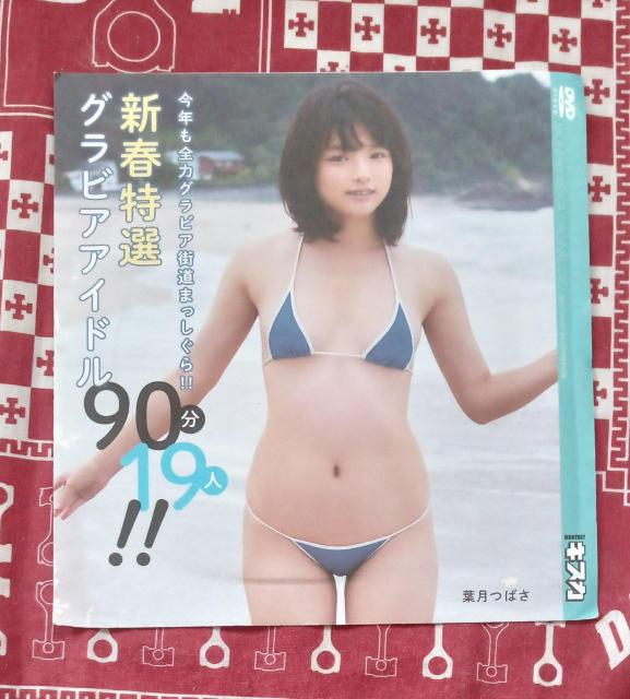 2019年2月号付録 竹書房 DVD今年も全力グラビア街道まっしぐら!! 新春特選グラビアアイドル女性90分19人 葉月つばさ 他 < タレントグッズ  2019年2月号付録 竹書房 DVD今年も全力グラビア街道まっしぐら!! 新春特選グラビアアイドル女性90分19人 葉月つばさ 他  < タレントグッズの