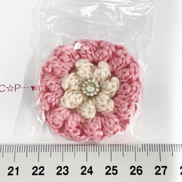 27*nhChlC̃|R|Rԁ@KXrW[@12 