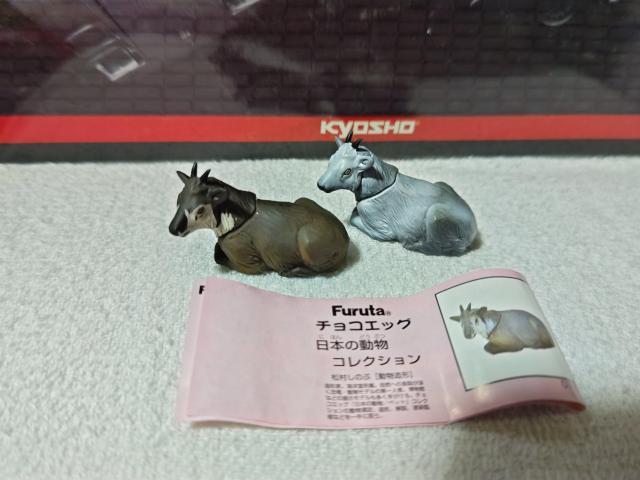 フルタ 日本の動物1 クラシック ニホンカモシカ < ホビー フルタ 日本の動物1 クラシック ニホンカモシカ < ホビーの