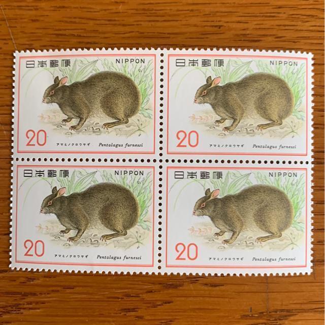 888LO؎80~(20~؎)   t@bV 