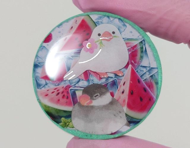 文鳥ちゃんとスイカ★かわいいブローチ・ネックレス・ヘアゴム   文鳥アクセサリー  レジン文鳥  文鳥ブローチ  ヘアゴム  < 女性ファッション  文鳥ちゃんとスイカ★かわいいブローチ・ネックレス・ヘアゴム   文鳥アクセサリー  レジン文鳥  文鳥ブローチ  ヘアゴム  < 女性ファッションの