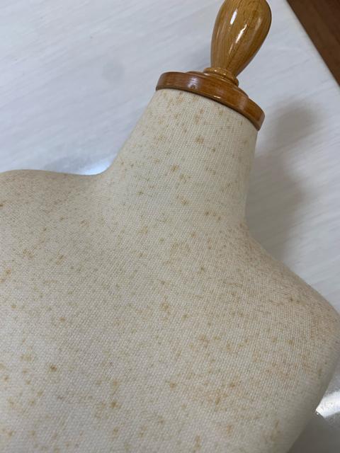 �q���p�g���\�[�@���܂��t�� �� �C���e���A/���C�t�� 