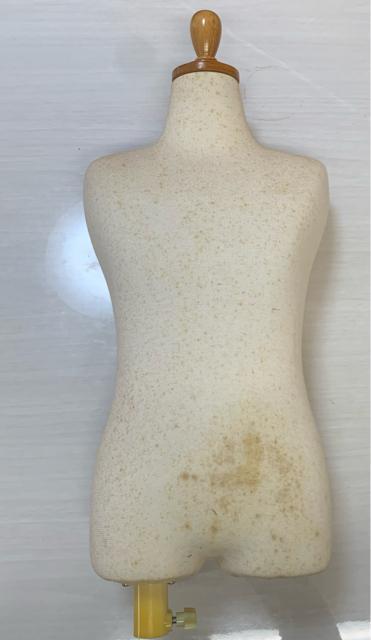 �q���p�g���\�[�@���܂��t�� �� �C���e���A/���C�t�� 