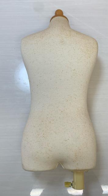 �q���p�g���\�[�@���܂��t�� �� �C���e���A/���C�t�� 