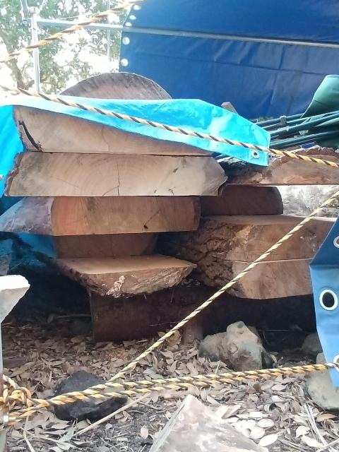 �q�}�����X�M ���C�� ����100mm ����2600mm ��800mm �� �y�b�g/��|/���|�� 