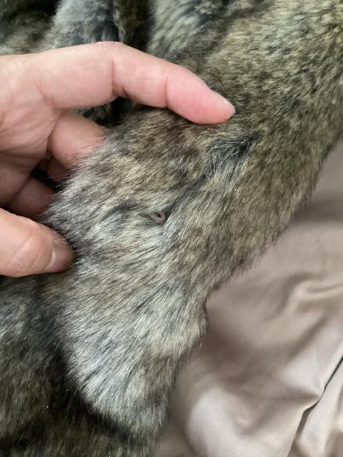 moussy V[g@tFCNt@[R[g@}EW[@t[TCY  uh 