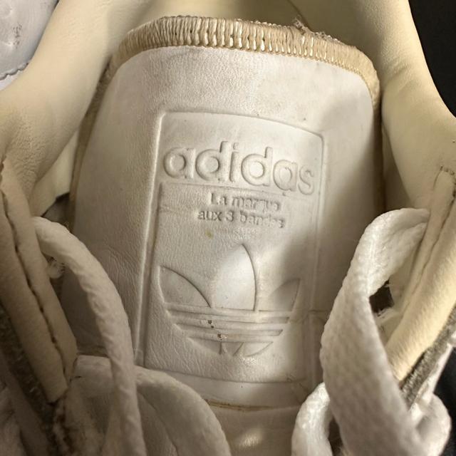 �yadidas�zsuperstar 23.5cm �G���{�X���S �R������ �� �u�����h�� 