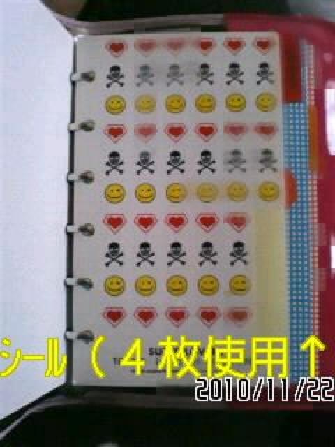 スーパーラヴァーズ・非売品スカル柄システム手帳カバー&シール < ブランド スーパーラヴァーズ・非売品スカル柄システム手帳カバー&シール < ブランドの