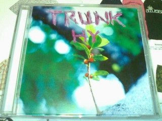 s5000ՁtHY TRUNK GC`C bN ROCK A Be[W    ^gObY 