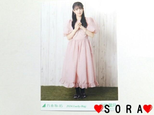 【乃木坂46/向井葉月】2024年 Lucky Bag ラッキーバッグ福袋♪生写真 < タレントグッズ  【乃木坂46/向井葉月】2024年 Lucky Bag ラッキーバッグ福袋♪生写真  < タレントグッズの