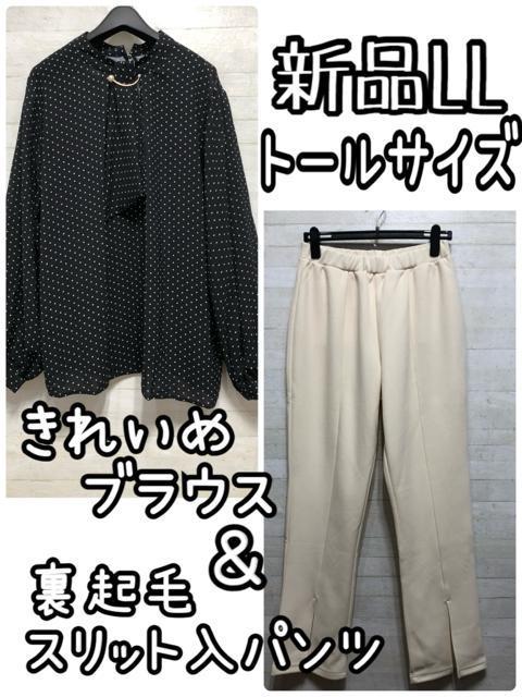 ViLLg[TCY􂫂ꂢ߃uEXXbgpcgQ475   t@bV 