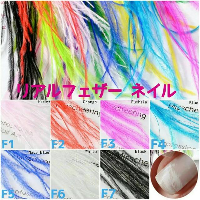 Z■ネイルデコパーツ・リアルフェザー 羽デコパーツ < 香水/コスメ/ネイル Z■ネイルデコパーツ・リアルフェザー 羽デコパーツ < 香水/コスメ/ネイルの