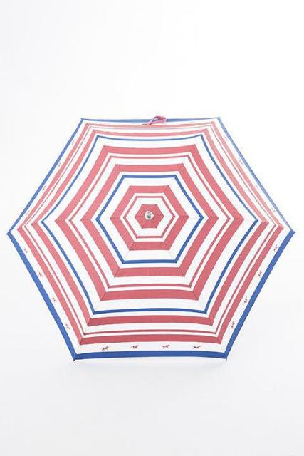 SuperGroupies/܂ݎPfVi  Aj/R~bN/LN^[ 