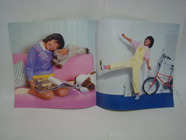 WINKiECNj / bq} сEJ[sibvtLP  CD/DVD/rfI 