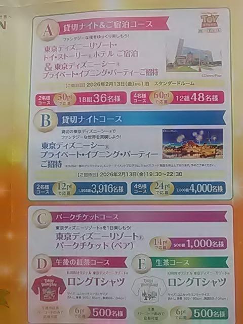 �L�����r�o���b�W�A�r�o�h���[����p���啕��5���A�f�B�Y�j�[���]�[�g�h�� 