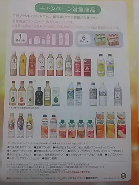 �L�����r�o���b�W�A�r�o�h���[����p���啕��5���A�f�B�Y�j�[���]�[�g�h��