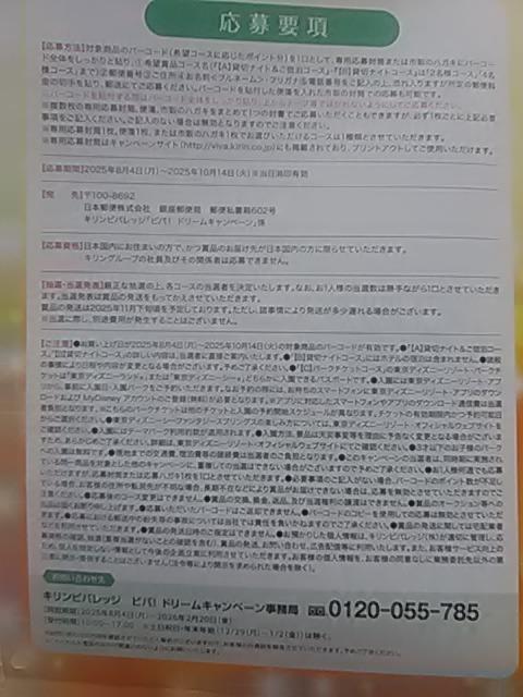 �L�����r�o���b�W�A�r�o�h���[����p���啕��5���A�f�B�Y�j�[���]�[�g�h��