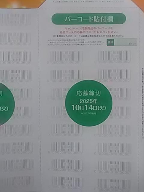 �L�����r�o���b�W�A�r�o�h���[����p���啕��5���A�f�B�Y�j�[���]�[�g�h��