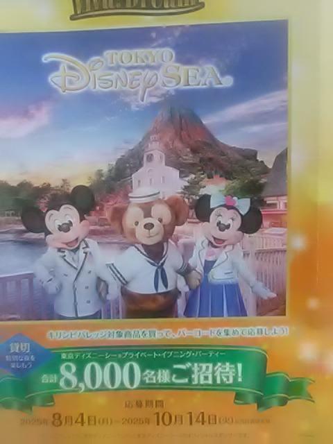 �L�����r�o���b�W�A�r�o�h���[����p���啕��5���A�f�B�Y�j�[���]�[�g�h��