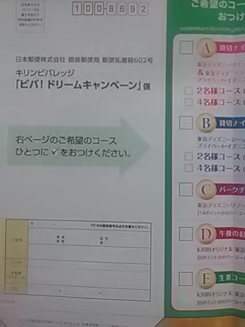 �L�����r�o���b�W�A�r�o�h���[����p���啕��5���A�f�B�Y�j�[���]�[�g�h��