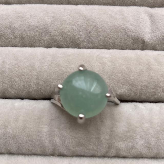 �V�R�Ύw�ց@�����O�@13��  �� �����A�N�Z�T���[/���v�� 