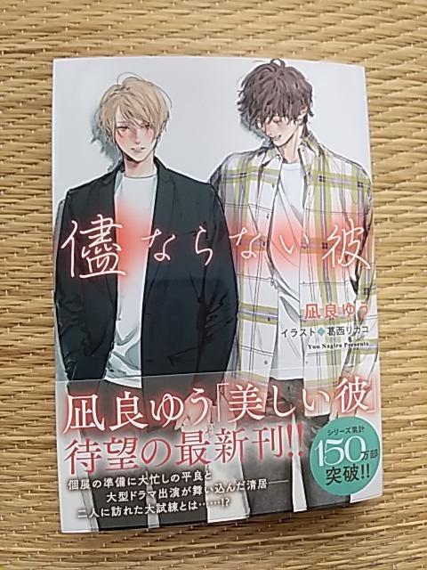 POV@@ԂȂȂށ@ނS@@@ǂ䂤/JR 