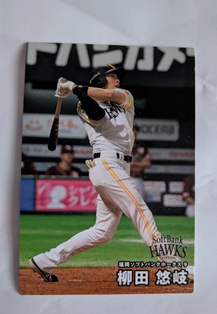 Jr[QOQTv싅J[h\tgoNz[NX cII   g[fBOJ[h 