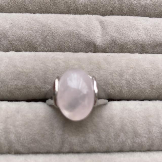 �V�R�Ύw�ց@�����O�@12��  �� �����A�N�Z�T���[/���v�� 