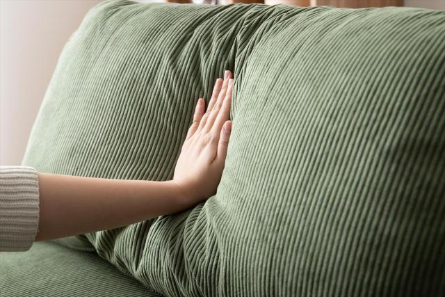 �y���������z�y2�_�Z�b�g�zRidley ���N���C�j���O�R�[�f�����C�\�t�@ �� �C���e���A/���C�t�� 