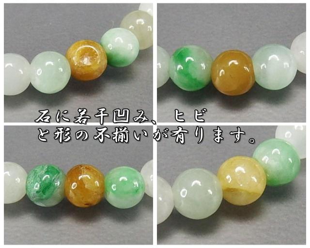 FǍDЂ{ŐWF_Cgʖ5mmuXbgVRΐ  ANZT[/v 