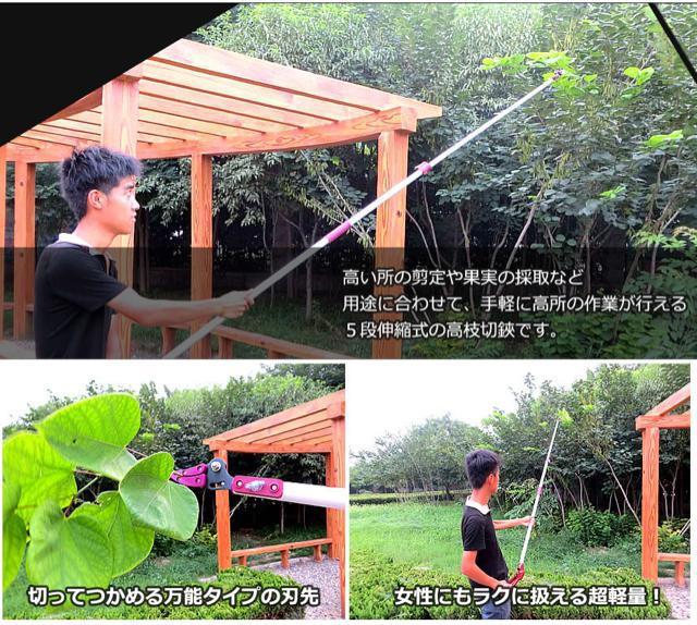 高枝切バサミ 5段階伸縮式 専用ノコギリ刃 超軽量 剪定 果実 採取 高枝切鋏 ガーデニング 庭 枝切り TAKAEDA < ペット/手芸/園芸  高枝切バサミ 5段階伸縮式 専用ノコギリ刃 超軽量 剪定 果実 採取 高枝切鋏 ガーデニング 庭 枝切り TAKAEDA < ペット/手芸/園芸の