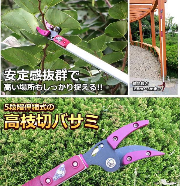 高枝切バサミ 5段階伸縮式 専用ノコギリ刃 超軽量 剪定 果実 採取 高枝切鋏 ガーデニング 庭 枝切り TAKAEDA < ペット/手芸/園芸  高枝切バサミ 5段階伸縮式 専用ノコギリ刃 超軽量 剪定 果実 採取 高枝切鋏 ガーデニング 庭 枝切り TAKAEDA < ペット/手芸/園芸の