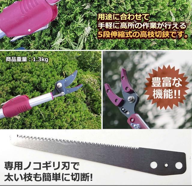 高枝切バサミ 5段階伸縮式 専用ノコギリ刃 超軽量 剪定 果実 採取 高枝切鋏 ガーデニング 庭 枝切り TAKAEDA < ペット/手芸/園芸  高枝切バサミ 5段階伸縮式 専用ノコギリ刃 超軽量 剪定 果実 採取 高枝切鋏 ガーデニング 庭 枝切り TAKAEDA < ペット/手芸/園芸の