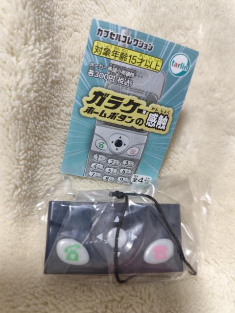 ガラケーホームボタンの感触 2:ガラケー前期 ギャラクティックネイビー < ホビー  ガラケーホームボタンの感触 2:ガラケー前期 ギャラクティックネイビー  < ホビーの