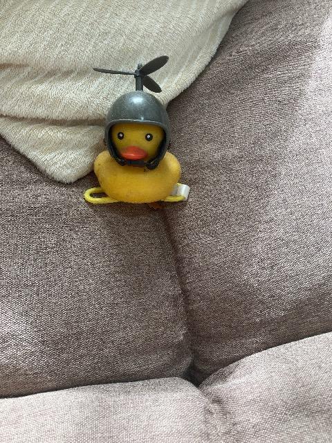 ラバーアヒル < おもちゃ ラバーアヒル < おもちゃの