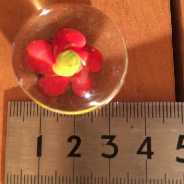 CO@AeB[N@ā@c}~  CeA/Ct 