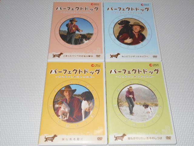 DVD���p�[�t�F�N�g�h�b�O ���Ǝ��̂����킹�̖@�� �S4���Z�b�g  �� CD/DVD/�r�f�I�� 