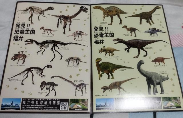 福井県「発見!!恐竜王国 福井」福井県立恐竜博物館 ステッカー シール 非売品 < インテリア/ライフ  福井県「発見!!恐竜王国 福井」福井県立恐竜博物館 ステッカー シール 非売品  < インテリア/ライフの