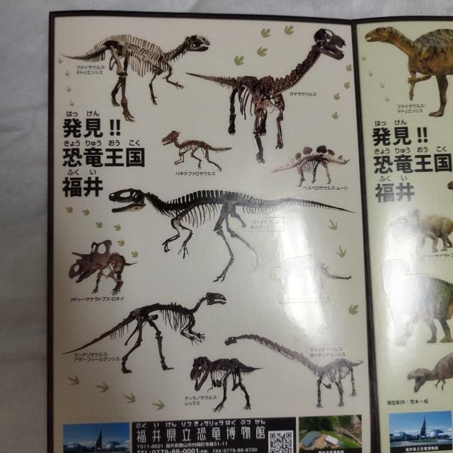 福井県「発見!!恐竜王国 福井」福井県立恐竜博物館 ステッカー シール 非売品 < インテリア/ライフ  福井県「発見!!恐竜王国 福井」福井県立恐竜博物館 ステッカー シール 非売品 < インテリア/ライフの