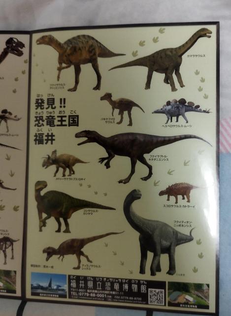 福井県「発見!!恐竜王国 福井」福井県立恐竜博物館 ステッカー シール 非売品 < インテリア/ライフ  福井県「発見!!恐竜王国 福井」福井県立恐竜博物館 ステッカー シール 非売品 < インテリア/ライフの