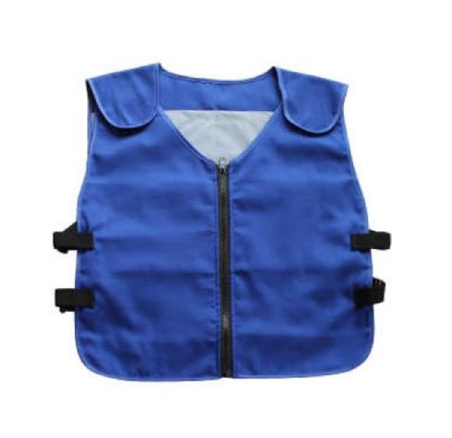 �M���Ǒ΍�O�b�Y  �A�C�X�x�X�g  �j�����p  �ۗ��20��  �� ���W���[/�X�|�[�c�� 