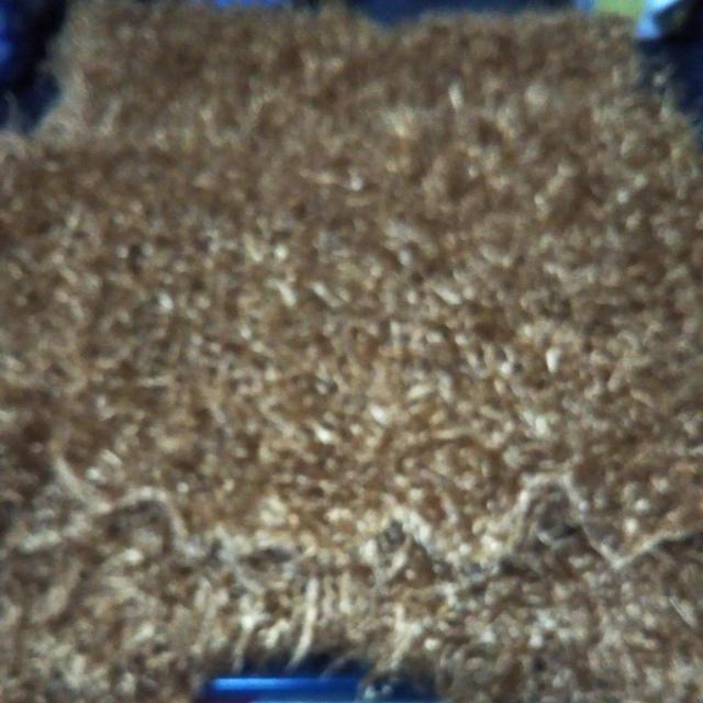 マフラー < 女性ファッション  マフラー < 女性ファッションの