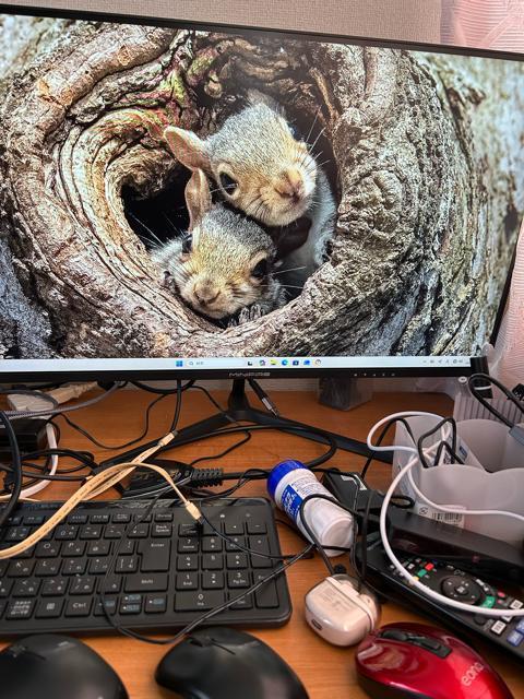 デスクトップPC ryzen5 3500 メモリ 16GB SSD 256GB r'adeon HD6380 1GB 動作品 < PC本体/周辺機器 デスクトップPC ryzen5 3500 メモリ 16GB SSD 256GB r'adeon HD6380 1GB 動作品 < PC本体/周辺機器の