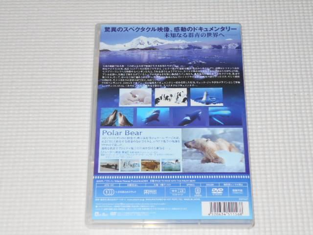 DVDfBXJo[EIuEI[V Polar Bear VN}  CD/DVD/rfI 