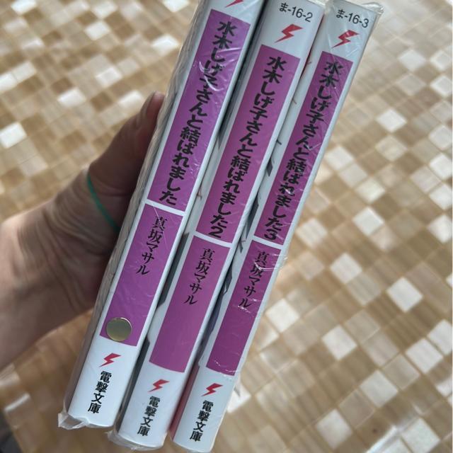 iɖ{/Sj؂qƌ΂܂@@`B ^}T  {/G 