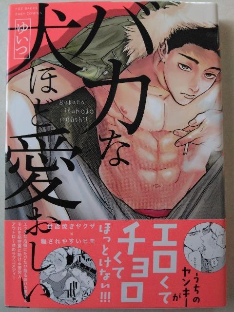 oJȌقǈ^䂢  Aj/R~bN/LN^[ 