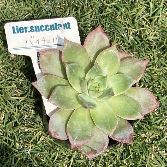 Dt oC`F  A G[c c G[   ybg/|/| 