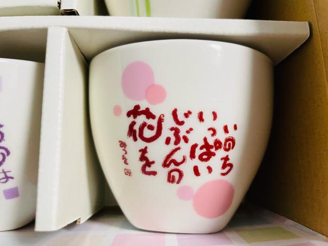 c݂@t[Jbv܌g@gp  CeA/Ct 