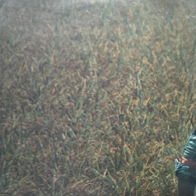 中古レコード 吉田拓郎 伽草子 LP 33回転 CBSソニー 帯なし 懐かしの歌声 < CD/DVD/ビデオ 中古レコード 吉田拓郎 伽草子 LP 33回転 CBSソニー 帯なし 懐かしの歌声 < CD/DVD/ビデオの