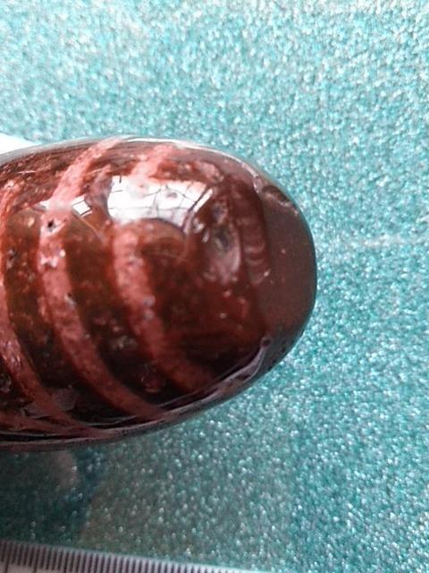 ���^�V��@�u���@ �� �C���e���A/���C�t�� 